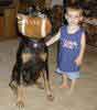 Jake and my best doberman friend Shania with the football and the bone (two toys)